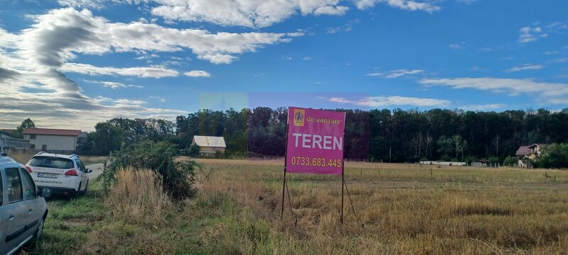Gulia teren 11.157 mp, langa Padurea Cereanca