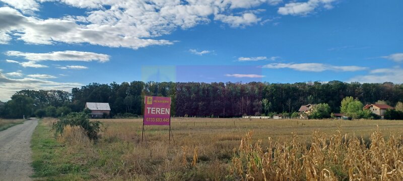Gulia teren 11.157 mp, langa Padurea Cereanca